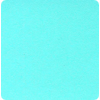       1,60  Flagpool (aqua)