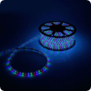   220  Neon-Night IP65, SMD 5050, 60 /, RGB, 50 