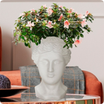   () Idealist Face Planter  (ANT-FP-W-WHT-27)