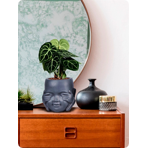   () Idealist Face Planter  (KID-FP-ONE-LG-24)