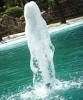   Fontana Fizz Jet